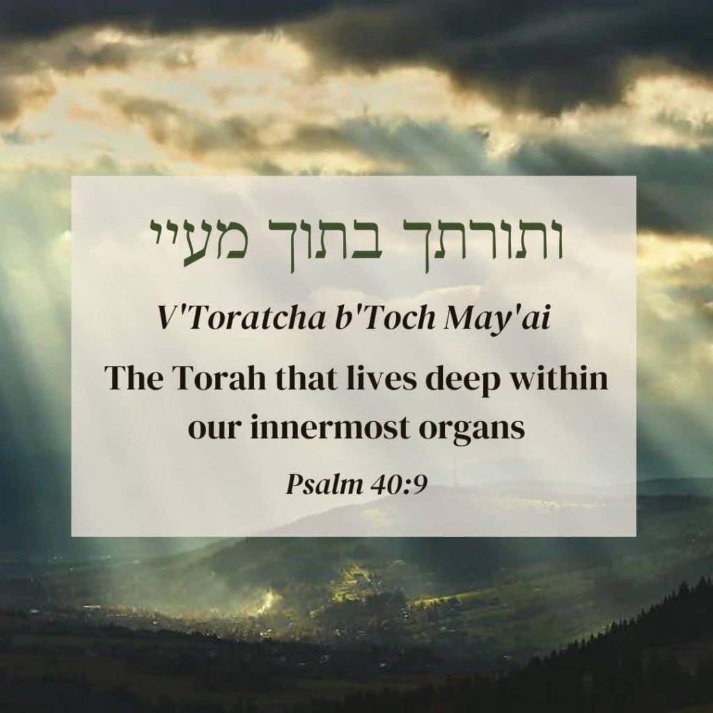 Rabbi: Learning Torah With Depth & Play