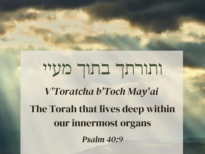 Rabbi: Learning Torah With Depth & Play